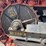 best-60-tailseat-image-18