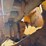 #1029-16-•-lot-1029-16-image-15