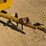 sullivan-d185-image-8