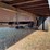 2000-international-4700-image-23
