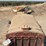 caterpillar-ten-image-11