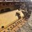 caterpillar-twenty-two-image-12