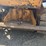 caterpillar-ten-image-37