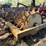 #1029-48-•-lot-1029-48-image-3