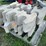 #3202-•-pallet-of-interlocking-concrete-retaining-wall-blocks-image-6