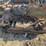 caterpillar-2-ton-image-7