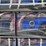 ft-gc42s-off-road-golf-cart-...-you-are-bidding-on-the-middle-blue-cart-image-3