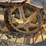 caterpillar-d2-image-14