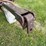 #4016-•-brillion-cultipacker-image-16