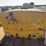caterpillar-d4-image-32
