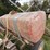 #4032-•-manawa-sprayer-image-6