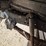 #4002-•-1975-ford-baby-dump-box-truck-image-26