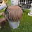 #4092-•-cupola-image-4