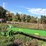 2011-john-deere-956-image-4