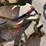 #1849-•-billy-goat-mower-image-7