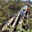 #3545-•-28'-conveyor-image-14