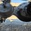 2016-freightliner-columbia-120-image-88