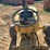#1029-2-•-lot-1029-2-image-7