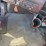 #1726-•-2019-western-star-day-cab-truck-tractor-image-50