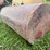 #4026-•-100-gallon-tank-image-6