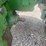 john-deere-2955-image-17