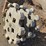 cat-excavator-compaction-wheel-image-4