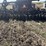 case-ih-8600-image-14