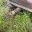 #4010-•-little-giant-elevator-image-4