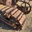 caterpillar-thirty-image-5
