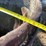 #1029-25-•-lot-1029-25-image-4