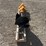 mini-excavator-post-hole-auger-image-2