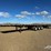 king-lode-image-2
