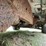 1997-ford-explorer-xlt-image-37