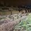 loftness-240sh-image-6