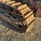 caterpillar-thirty-image-5