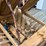 woody-redneck-tow-truck-image-11