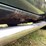 2005-chevrolet-1500-image-43
