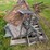 #4058-•-ladder-tree-stand-image-4