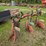 #4061-•-kverneland-3-bottom-plow-image-8