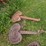 #4057-•-vintage-metal-tractor-seats-image-1