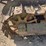 caterpillar-thirty-image-8