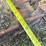 #1029-53-•-lot-1029-53-image-4