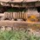 john-deere-350-image-22