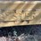 #1029-47-•-lot-1029-47-image-6