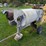 #4091-•-cement-mixer-image-2