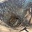 #1029-25-•-lot-1029-25-image-3