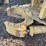 #1029-27-•-lot-1029-27-image-4