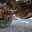 2011-freightliner-m2-106-image-47