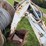 bobcat-700-image-8