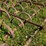 international-401-image-3